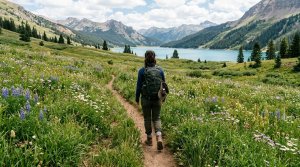 Ticks, Mosquitoes and Untreated Water: Staying Healthy Outdoors on a Road Trip