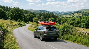 Loading Your Car the Safe Way: Cargo, Windshield Stickers and Pets in Pickup Beds