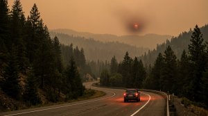 Wildfire Smoke on a Road Trip: How to Check the Air and Adjust Your Plans